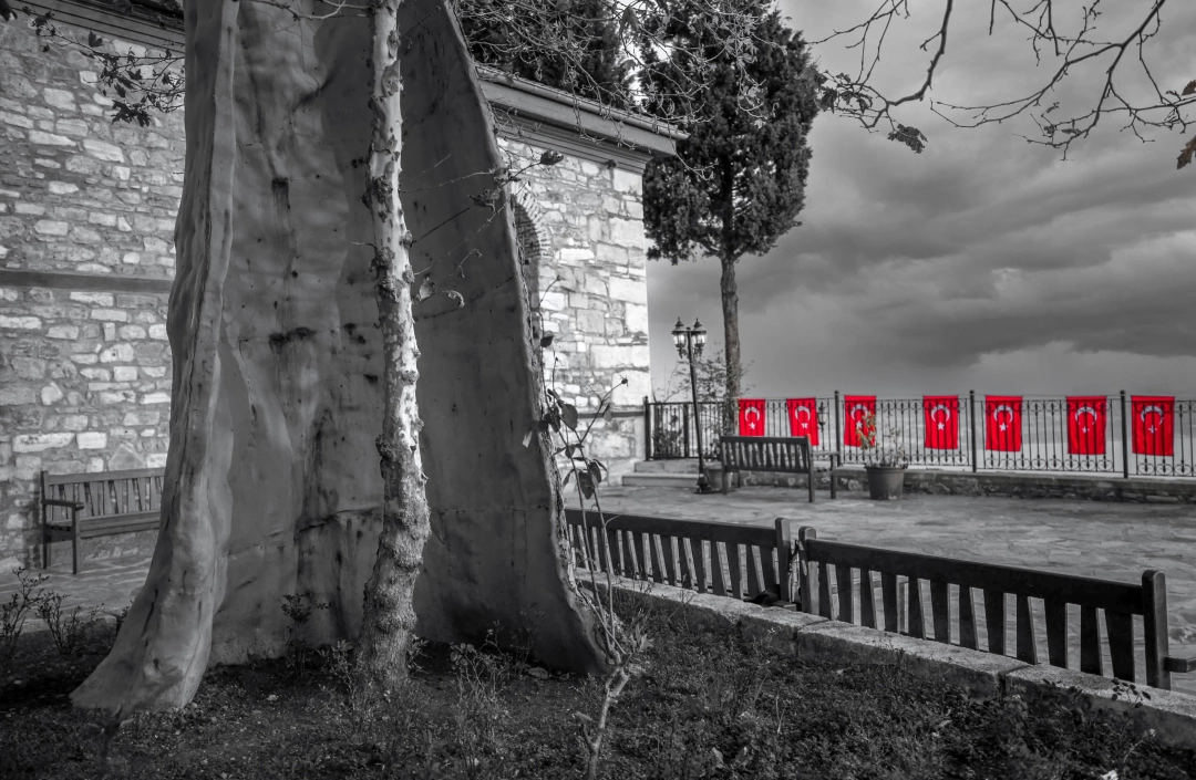 orhancamii-yenidendogus / 2156