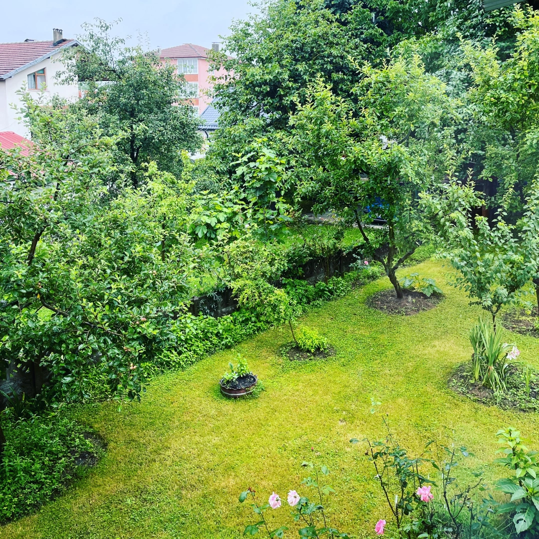 yesilin-her-tonu-ile-masukiye-kartepe-kocaeli / 264