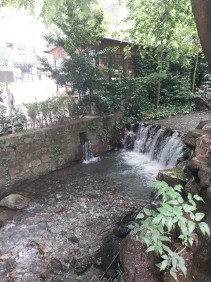 masukiye / 13502