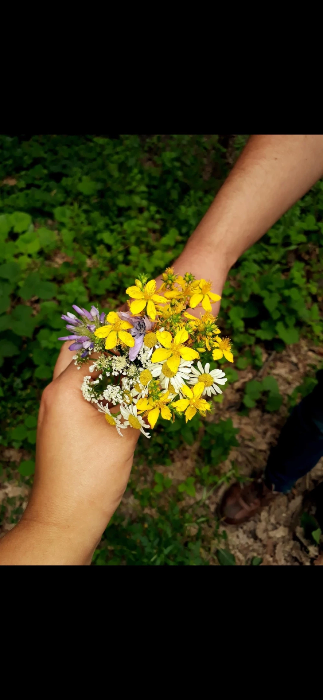 sevdamizkocaeli-kocaeli-ormanya-rengarenk-cicek-ask / 4120