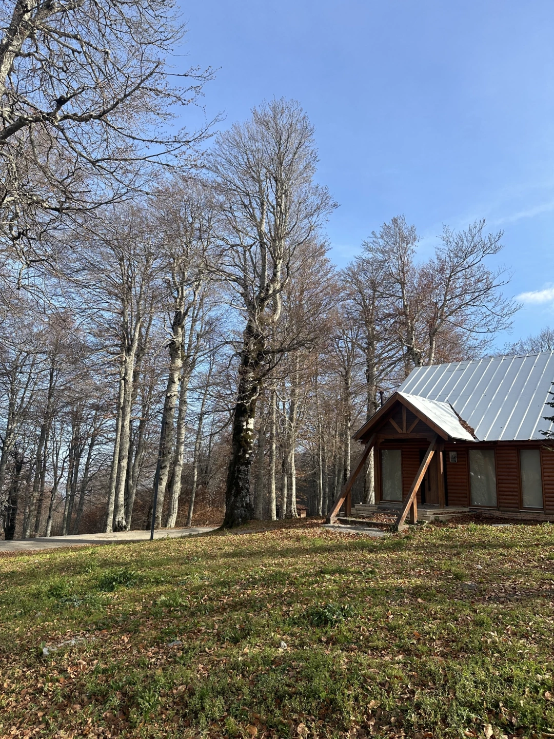 huzur-kocaeli-doga / 16220