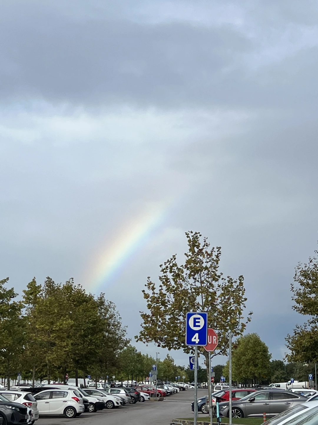 izmit-gokkusagi / 6664