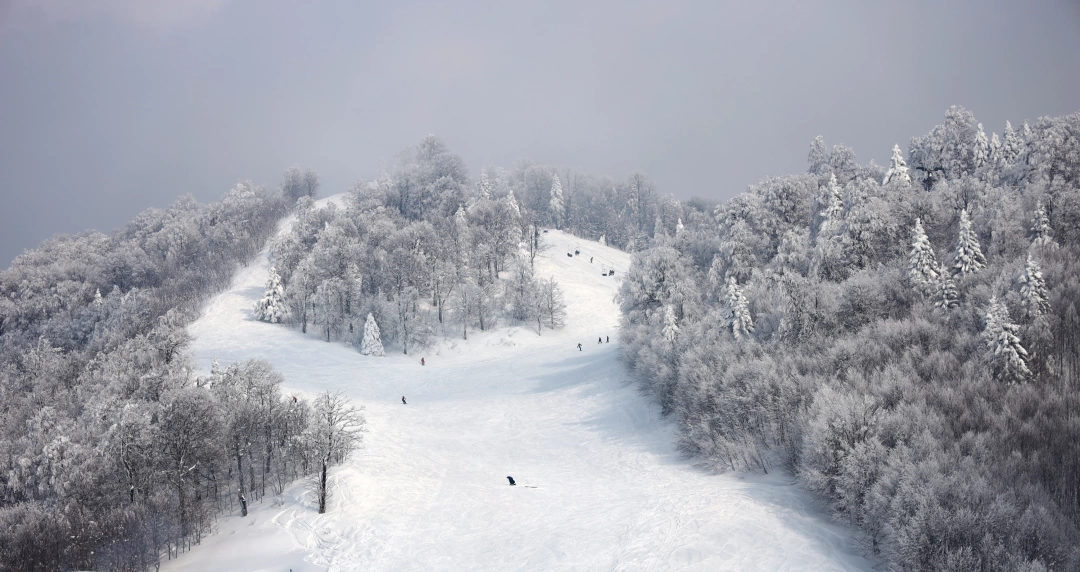 kartepe-kar-kayak-kis / 9020