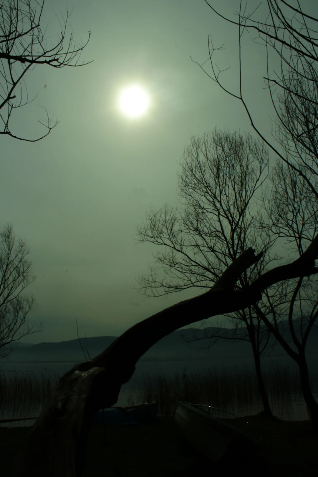 kocaeli-esme / 11020