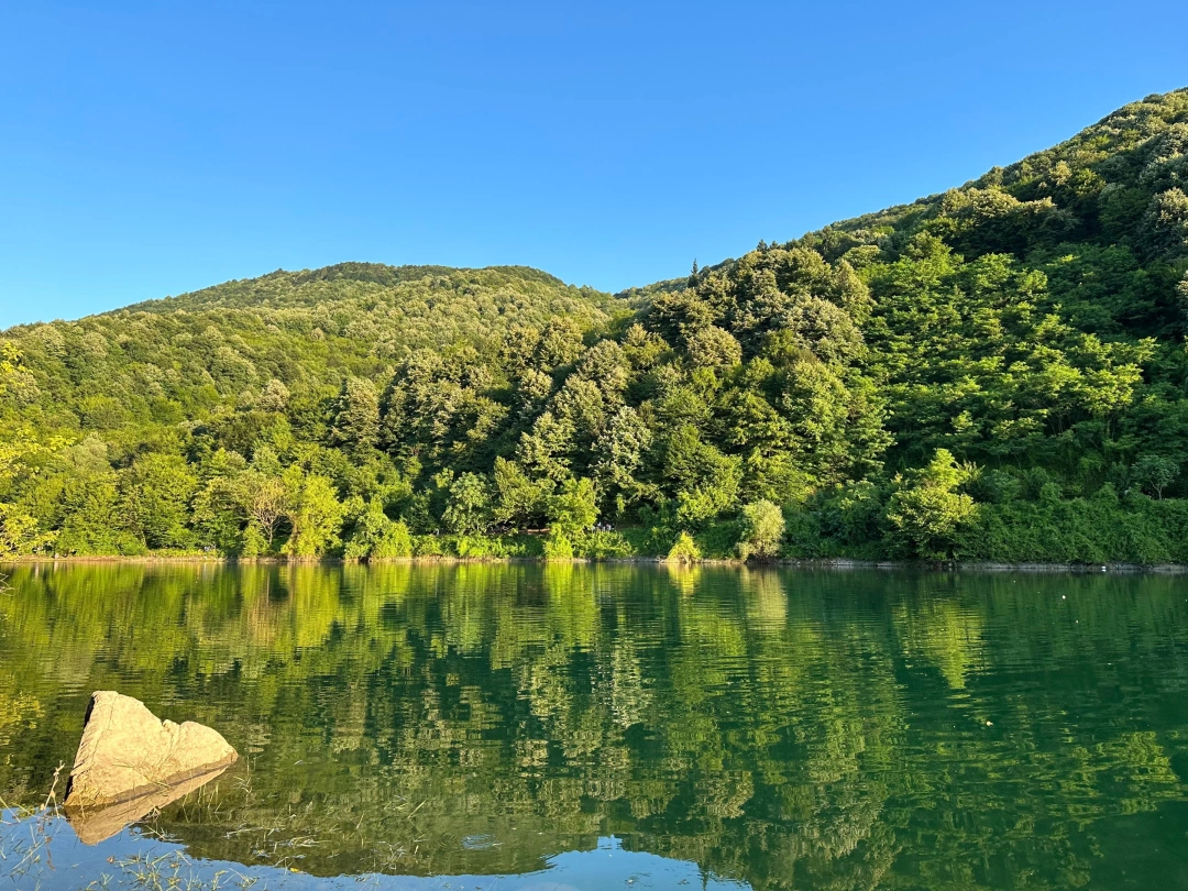 yesilmaviton / 10864