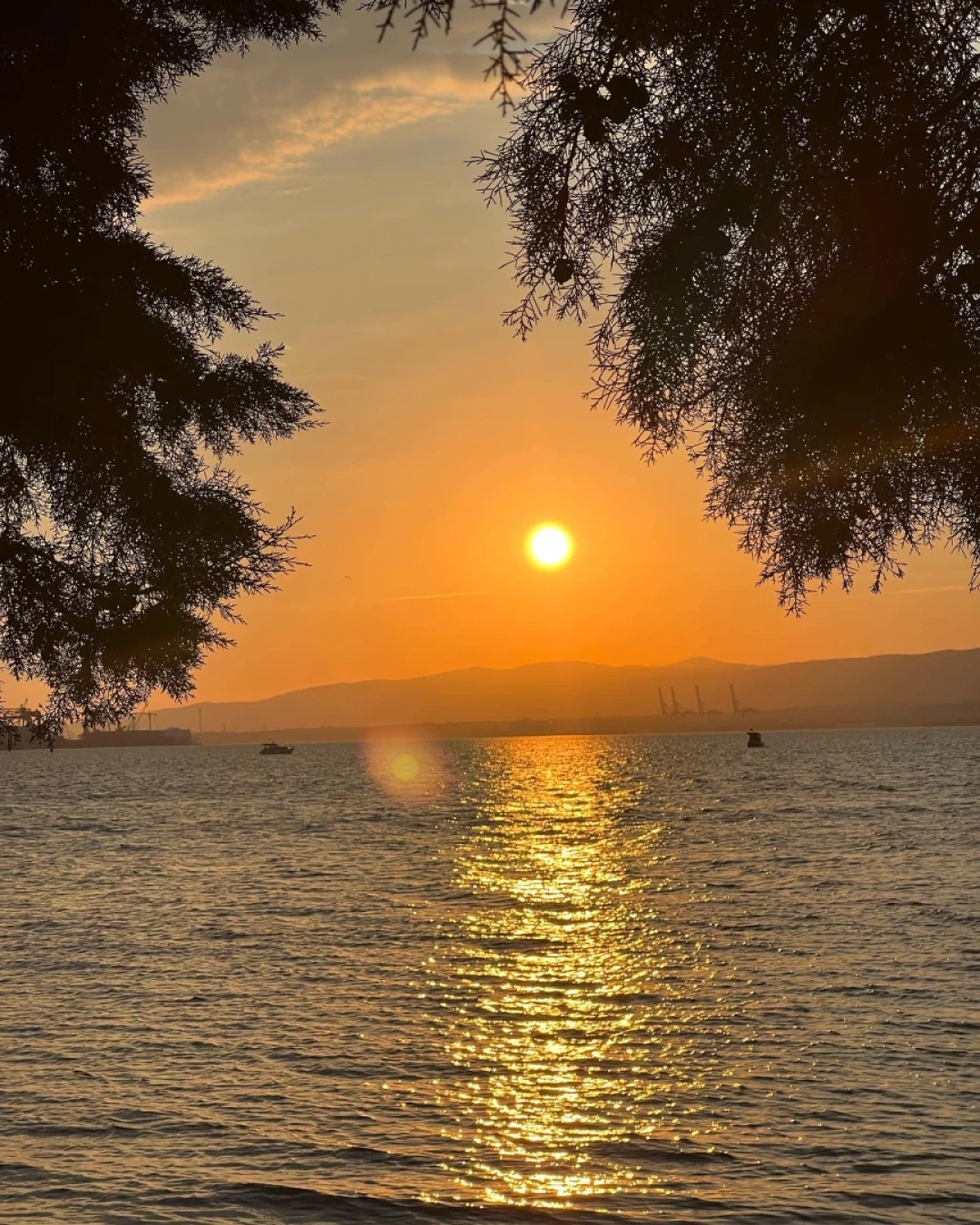 basiskele-at-mention / 11364