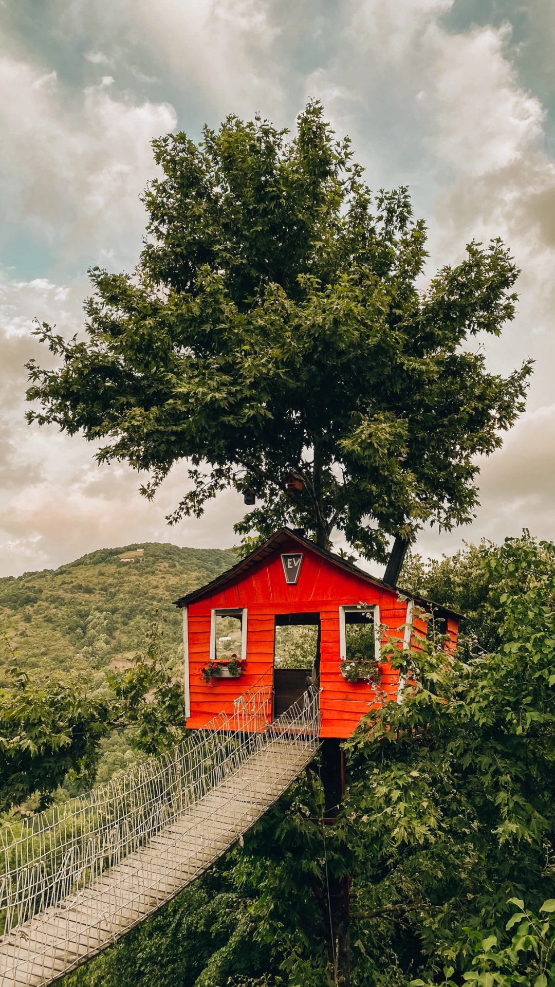 yuvacik-kazlicesme / 8473