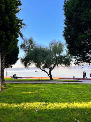 sahil-karamursel-huzurunbaskenti-sevdamizkocaeli / 5711