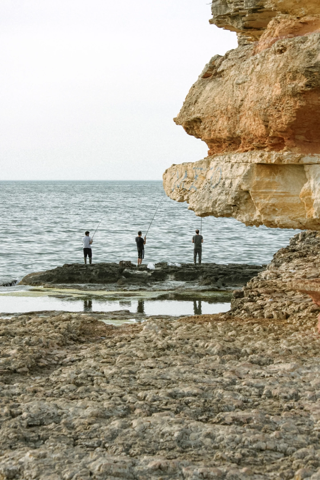 kefken-kerpe-kerpekayaliklari / 13429