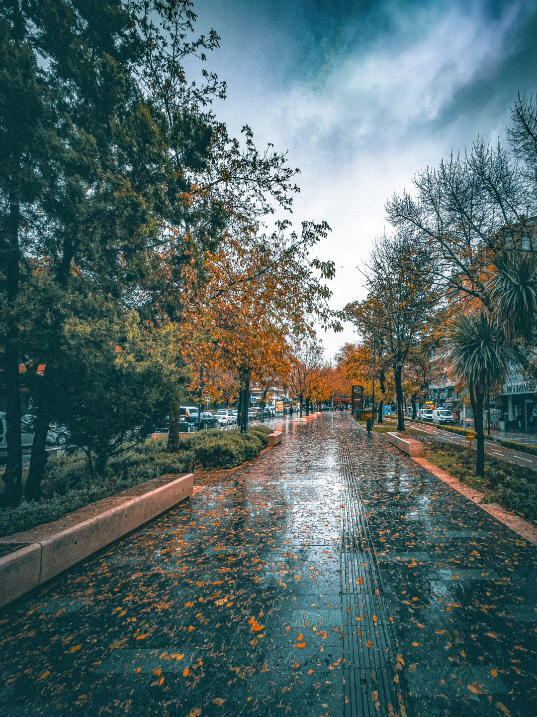 izmit-izmitcarsi-kocaeli-yuruyusyolu-pazar-yagmur-kar-kasim-soguk / 7447