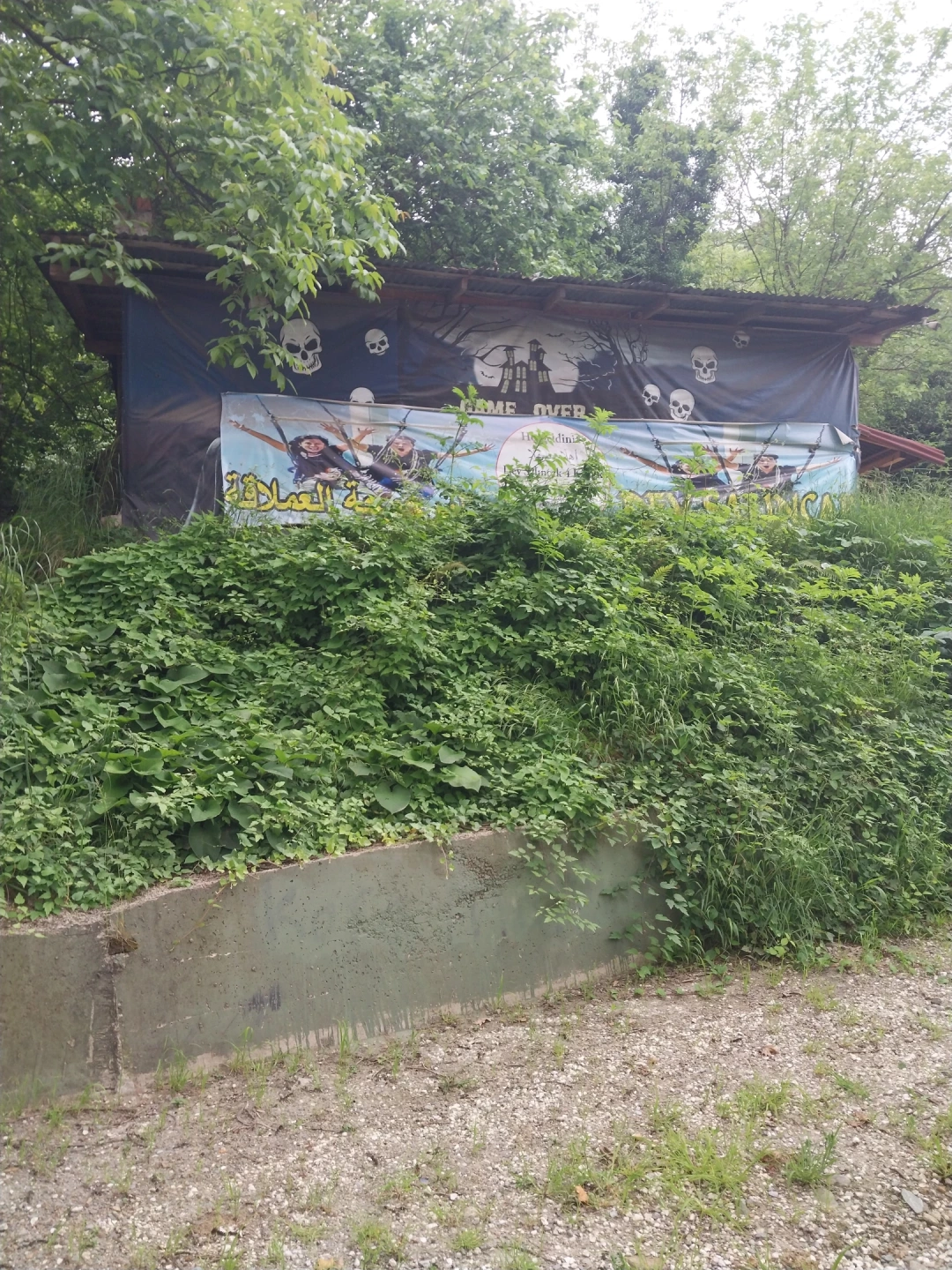 korku-evi / 13891