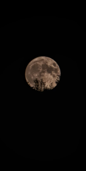 super-ay-halidere-moon / 5129