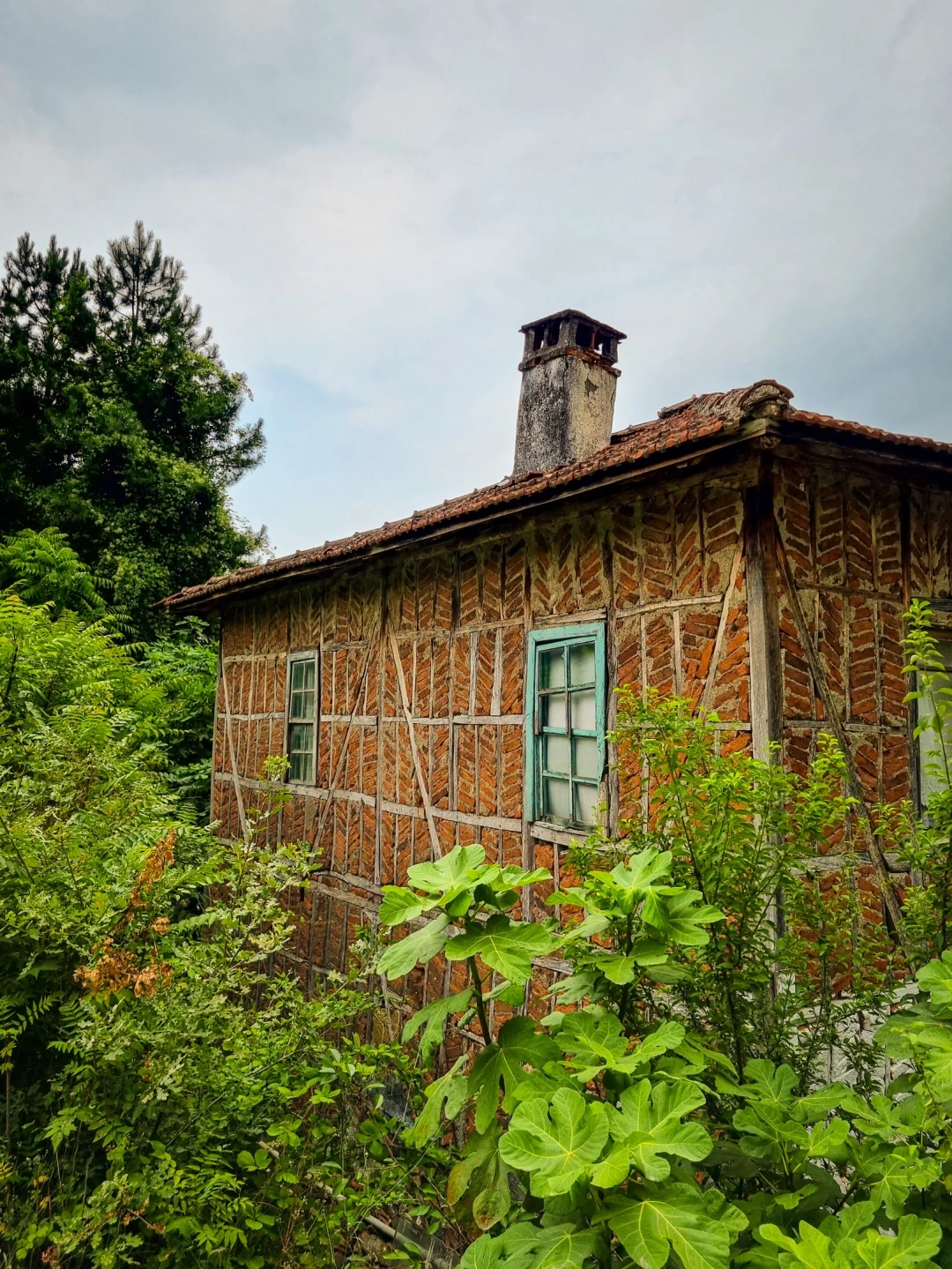 kizderbent-karamursel-koyevi / 4947