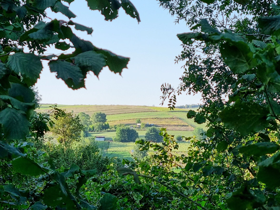 guvercinlik-izmit / 4747