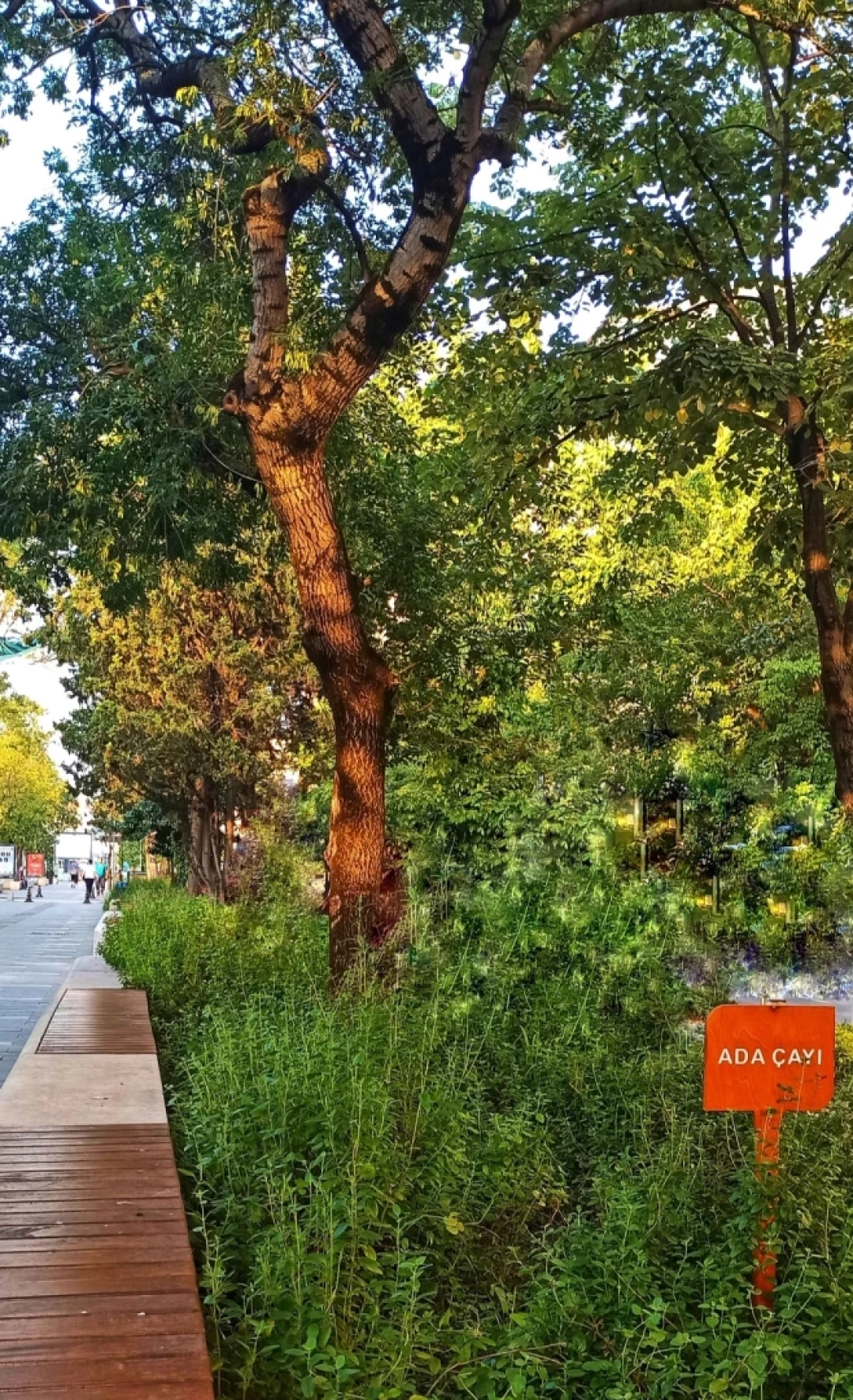 izmit-yuruyusyolu-cumhuriyetbulvari-kocaeli-yesil-adacayi-nefes / 3347