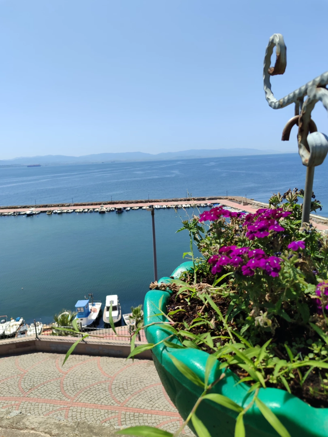 darica-cicek-daricabelediyesi / 1991