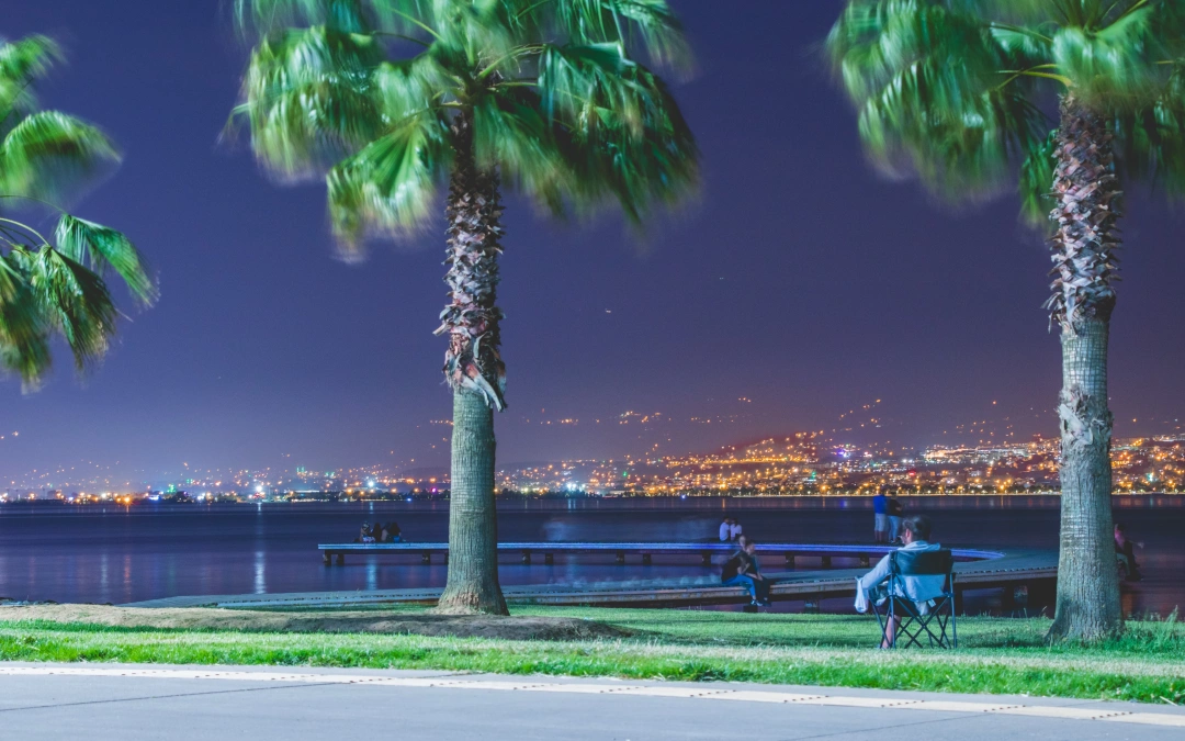 sekapark-palmiye-manzara-sahil-sevdamizkocaeli-burasikocaeli / 3203