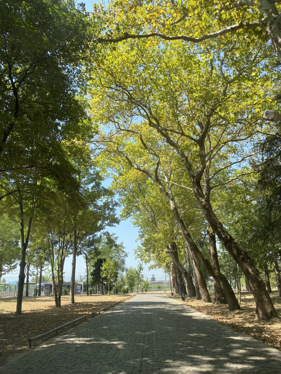 sekapark-sekakulturalani-kocaeli-izmit-sevdamizkocaeli / 3391