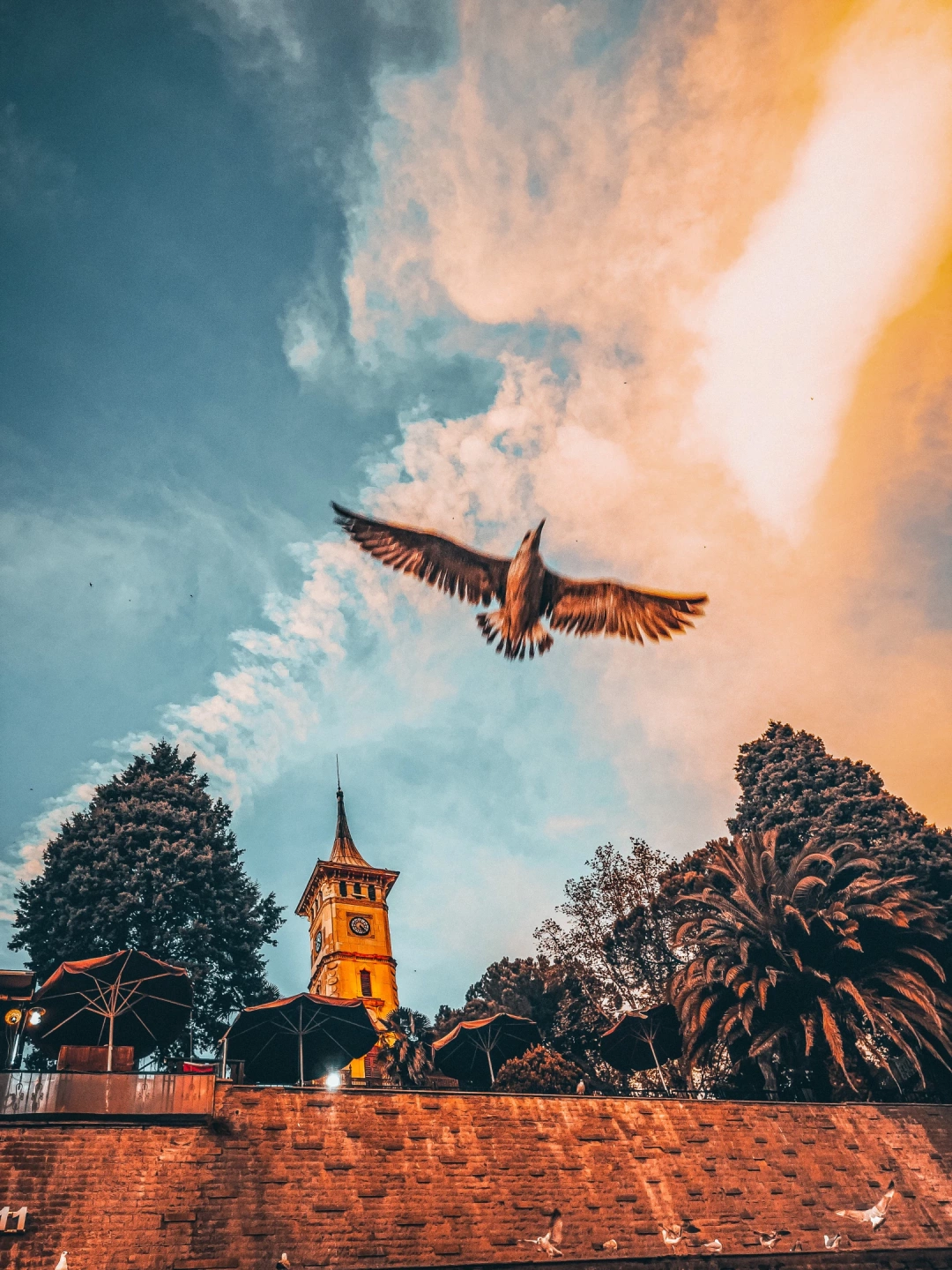 izmit-kocaeli-halkevi-heykel-muze-saatkulesi / 2747