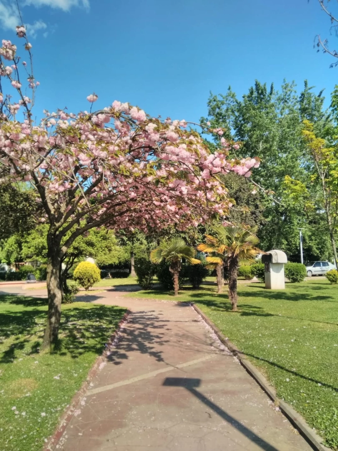 anitpark / 10091