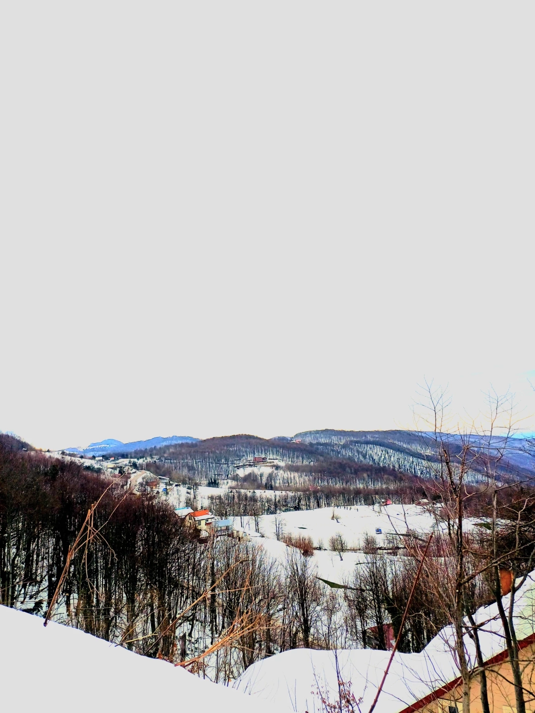 aytepe-kis-kocaeli / 10447
