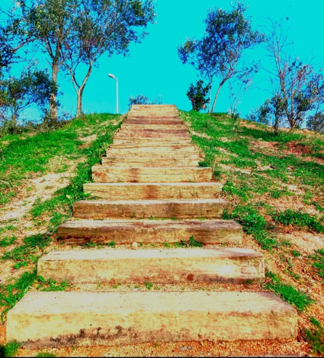 derince-kocaeli / 10547