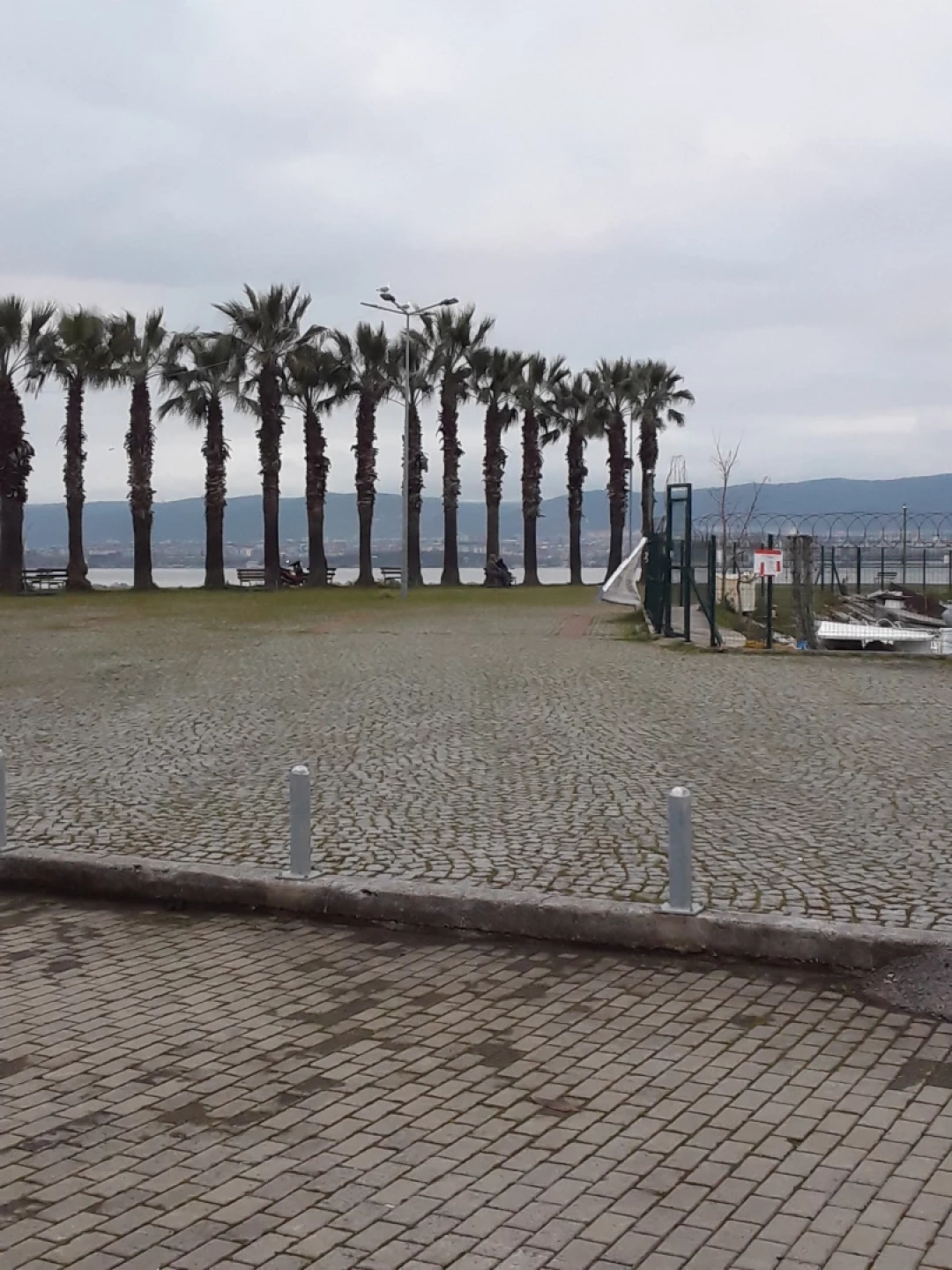 golcuk-kavakli-sahil / 8791