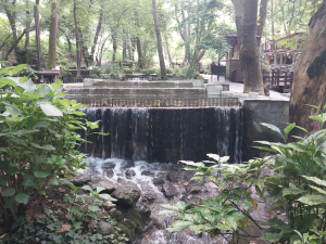 masukiye / 15326
