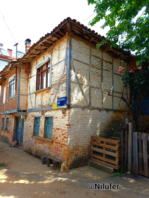 kandira-bagirganli-koyu / 14826