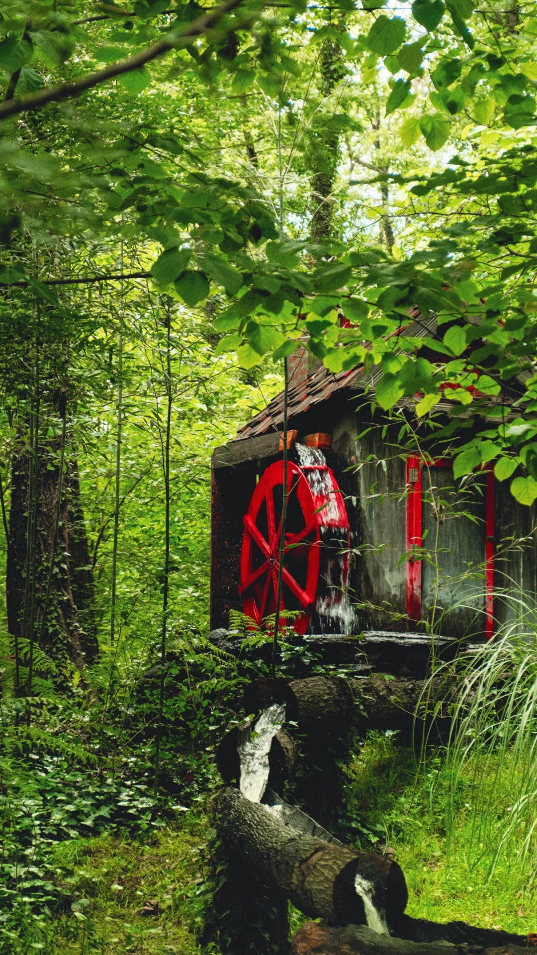 ormanya-kartepe-kocaeli / 16244