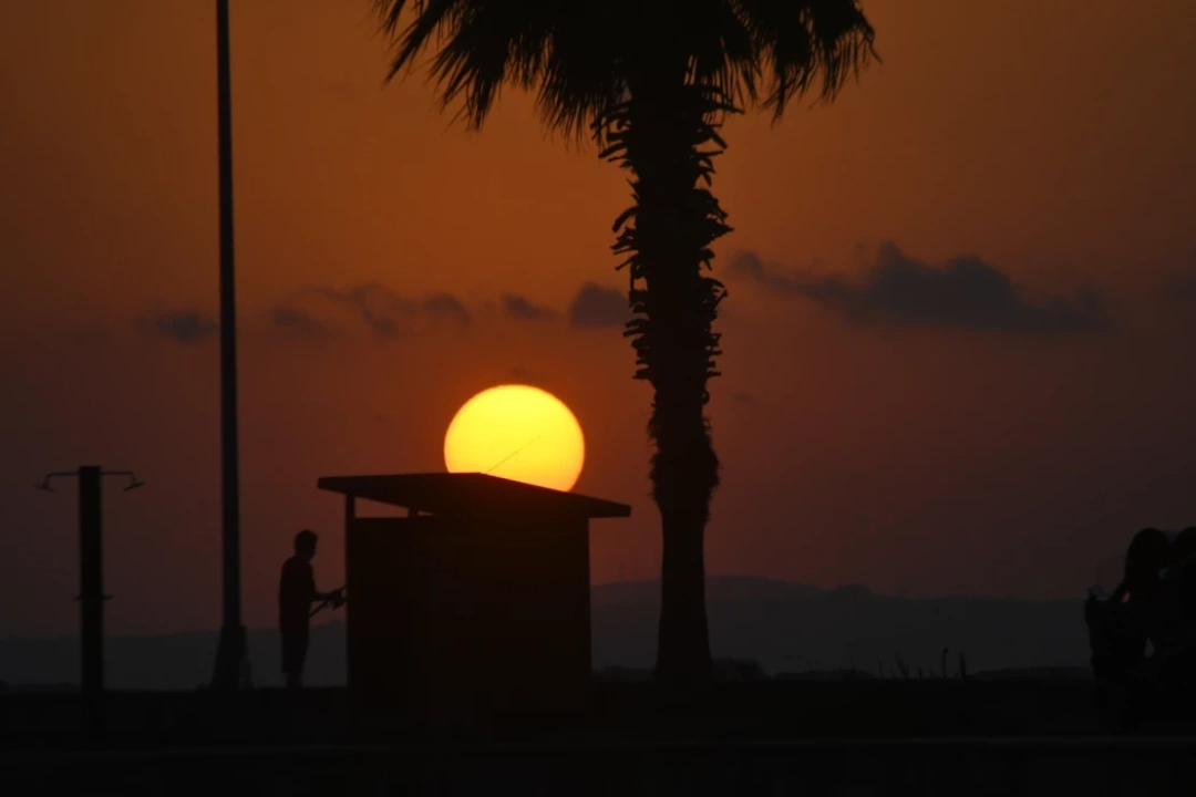 ulasli-gece-golcuk / 15588