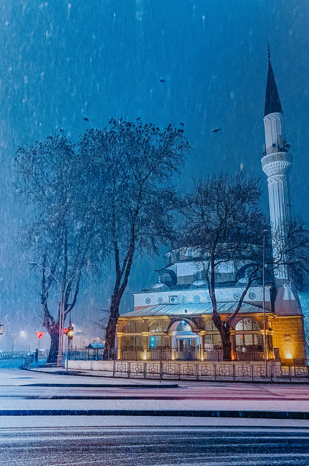 ordu-evi / 2044