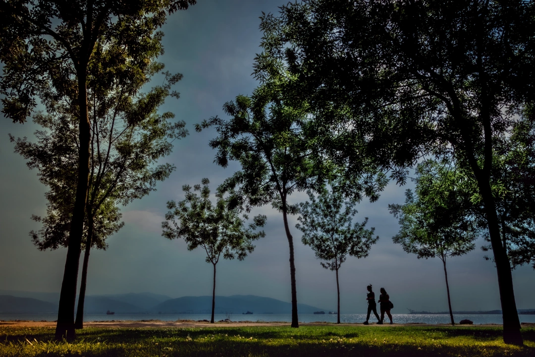 marina-sahil-sevdamizkocaeli-burasikocaeli / 3200