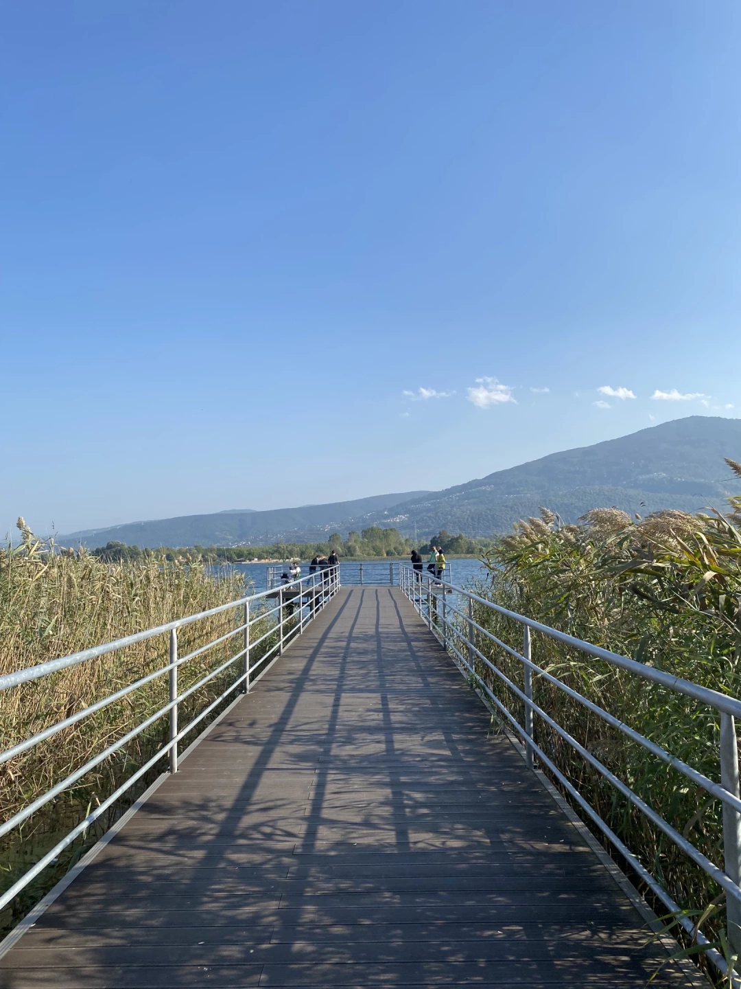 iskele-sapanca-sekakamp / 6644