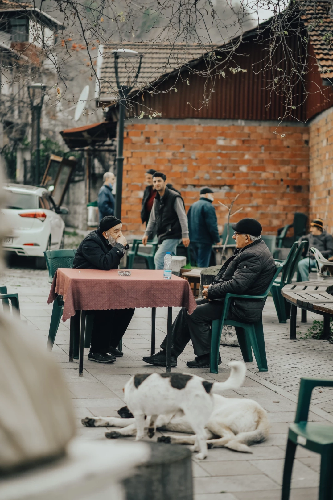 koy-kahvesi-sarayli / 6344