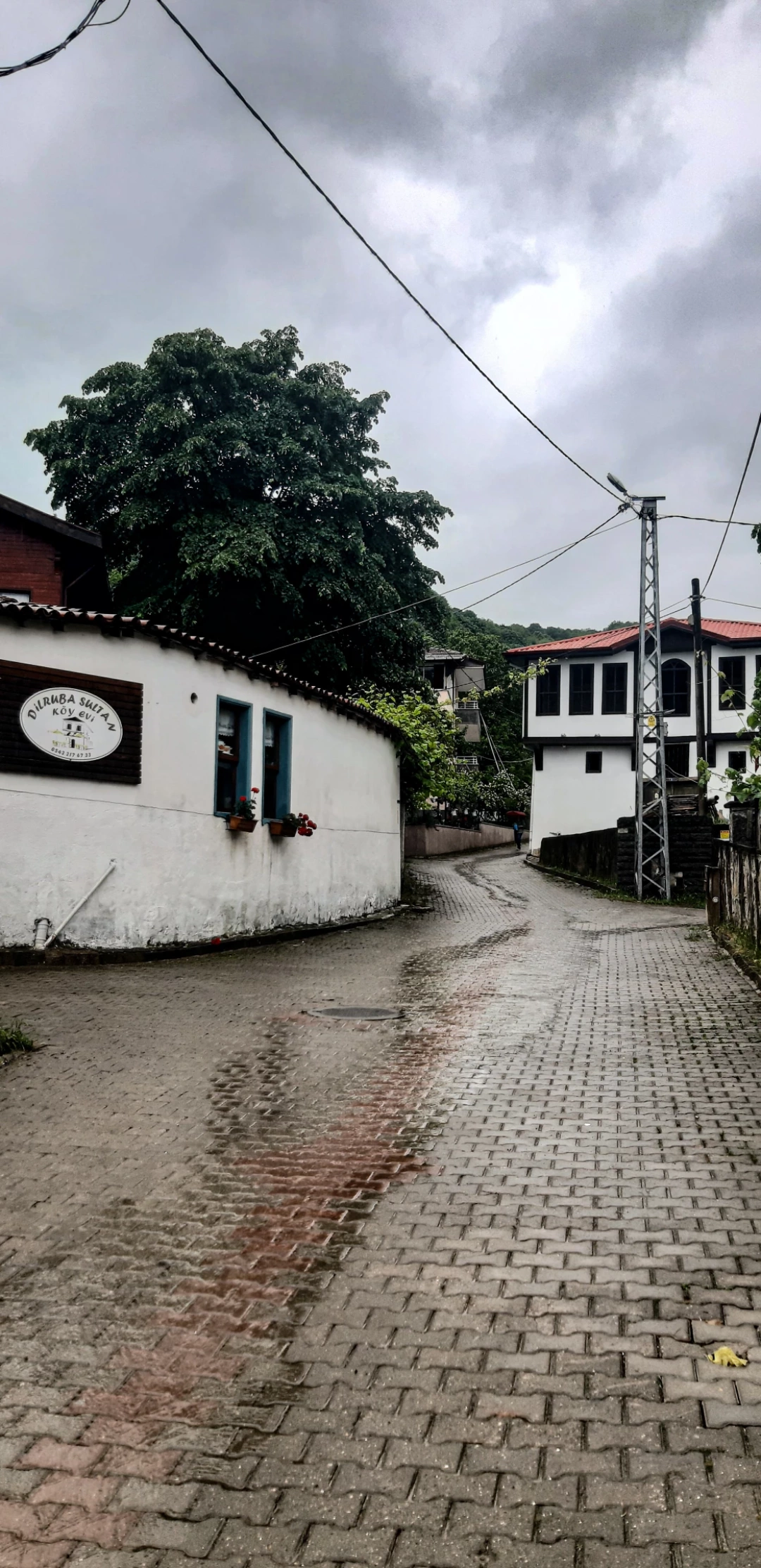 saraylikoyu-golcuk / 12744