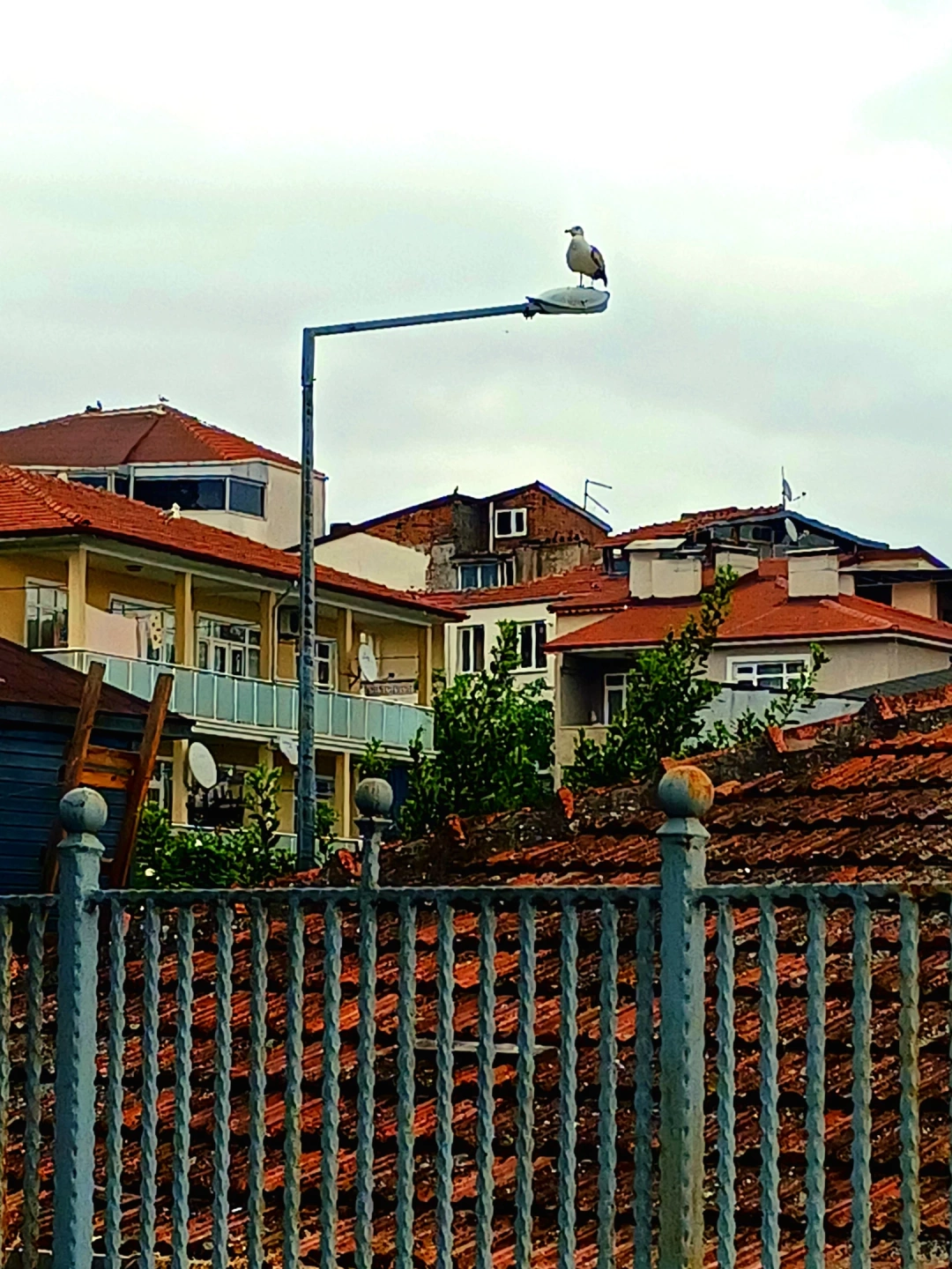 izmit / 12144