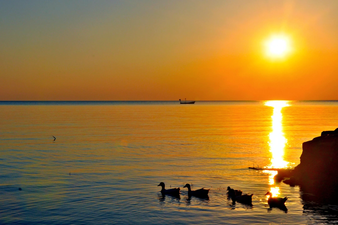 kerpe-gun-batimi-kerpe-gunbatimi-kandira-kerpe-kocaeli-izmit-doga-sahil-kerpesahil / 1744