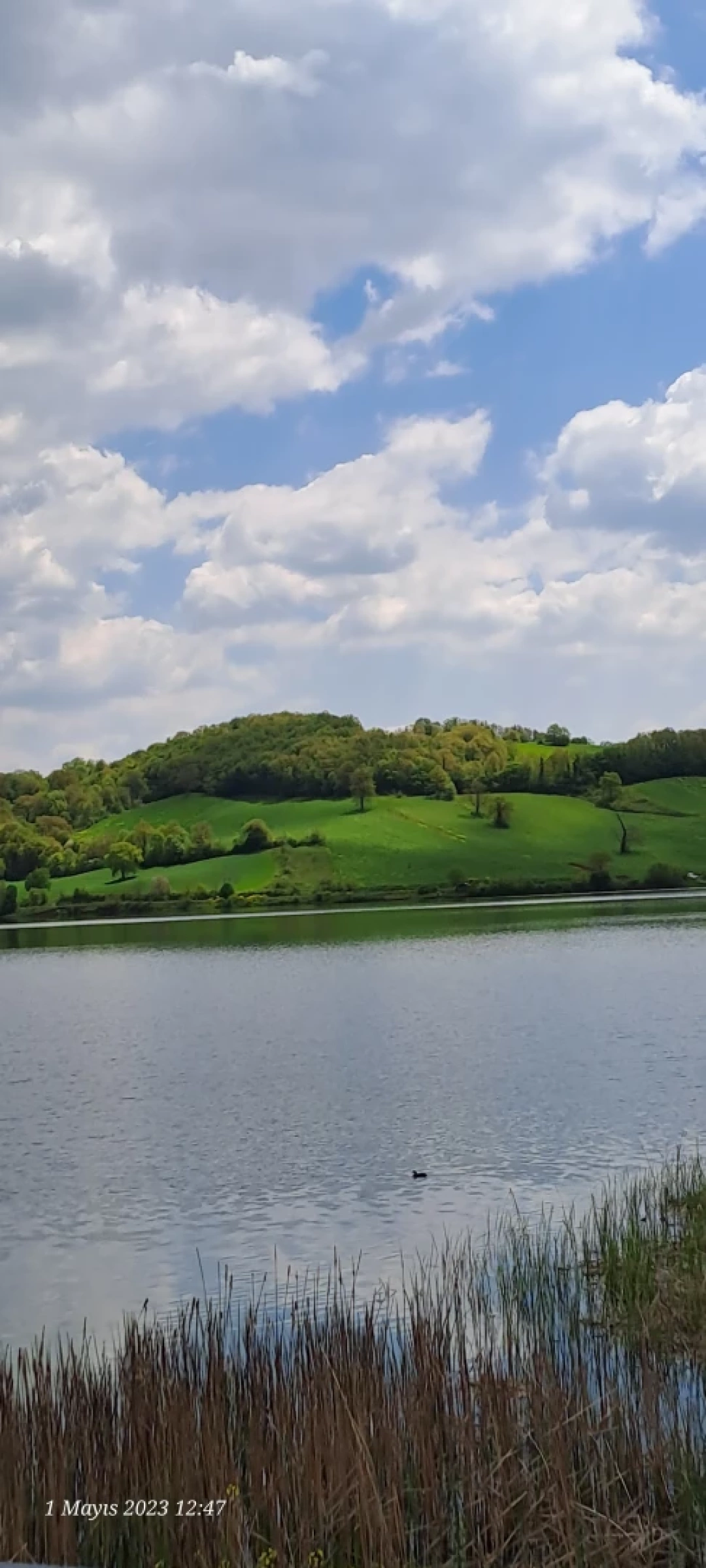 derince-tahtali / 1588