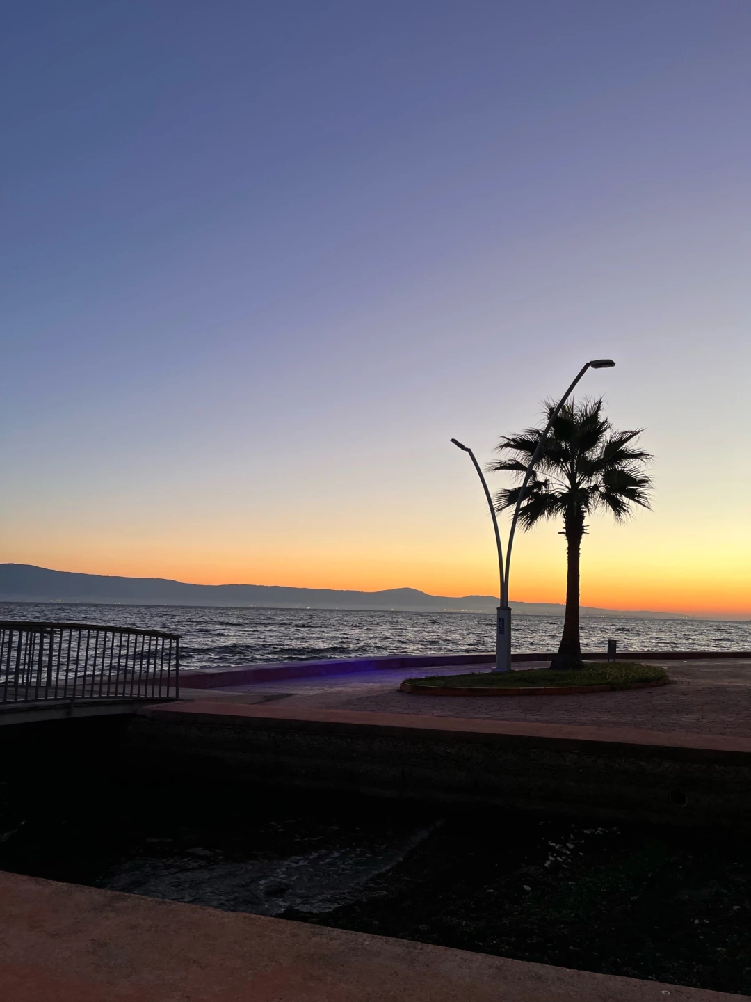 karamursel-gundogumu-palmiye-sevdamizkocaeli-deniz-baslangic / 5642