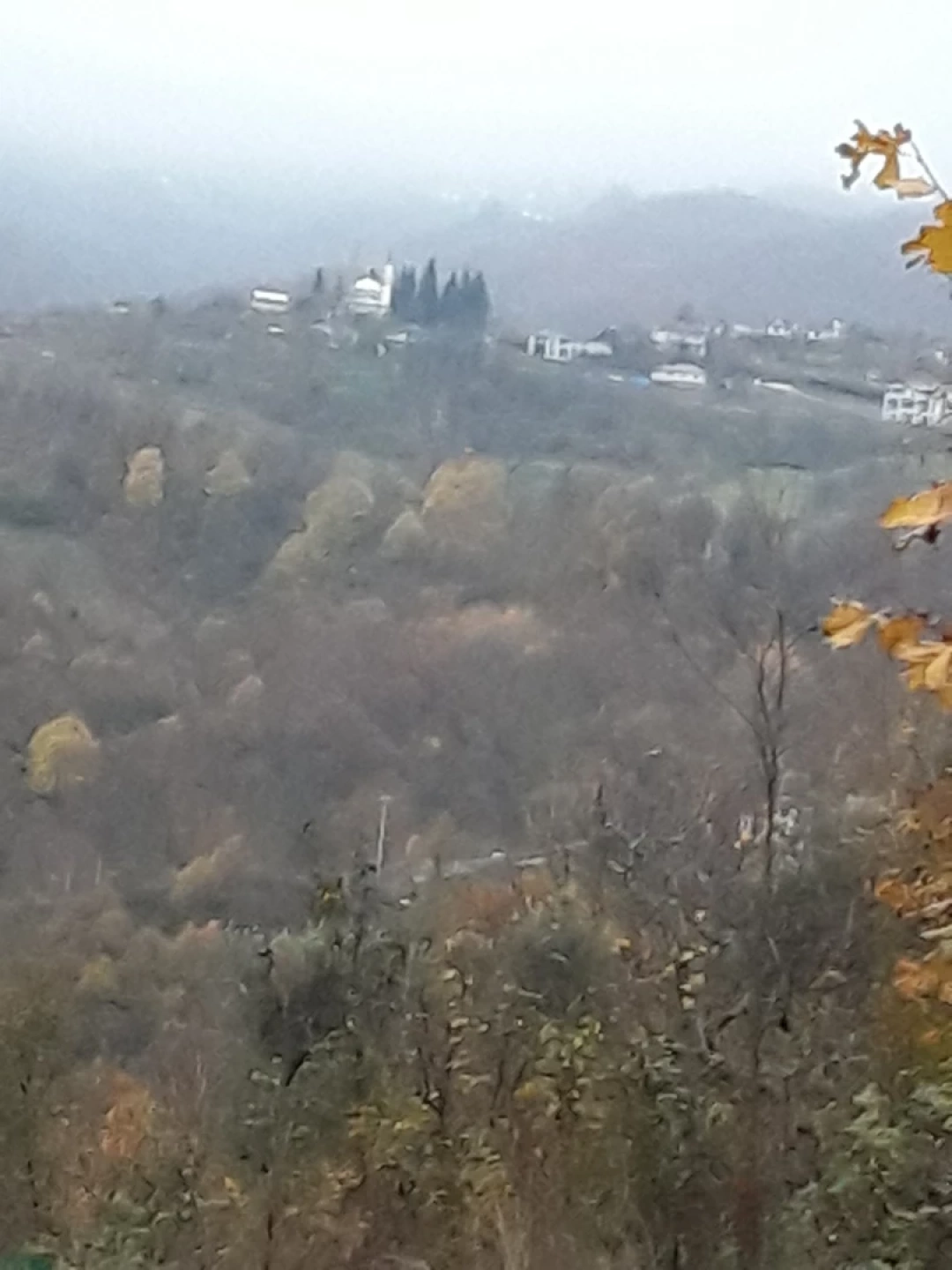 golcuk-yeniferhadiye / 7842