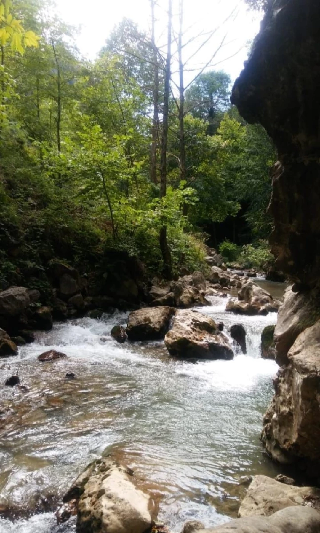 kartepe / 10642