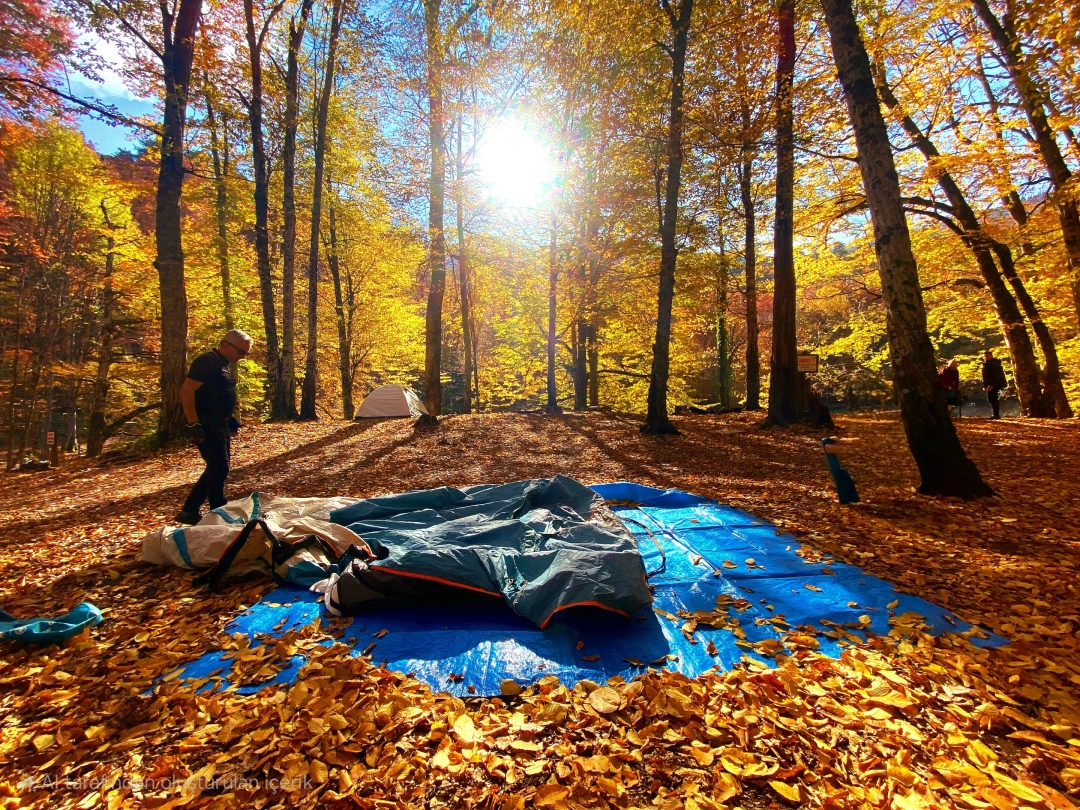 at-kamp-kamp-orman / 16242