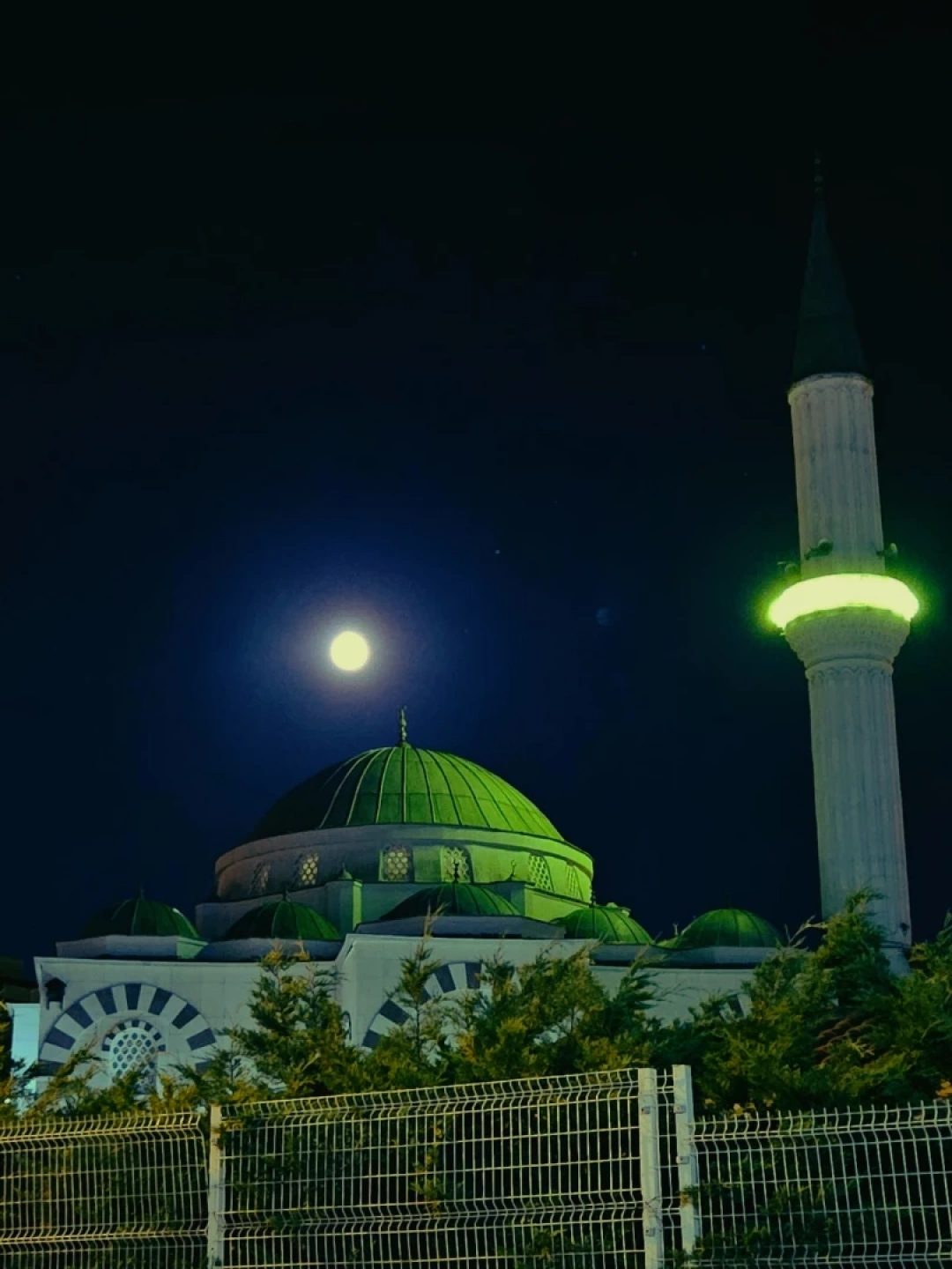 derince-korfezkent-camii / 15586