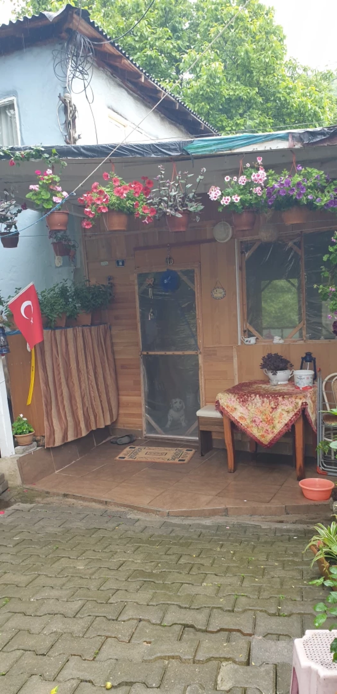 sarayli-koyu / 13086