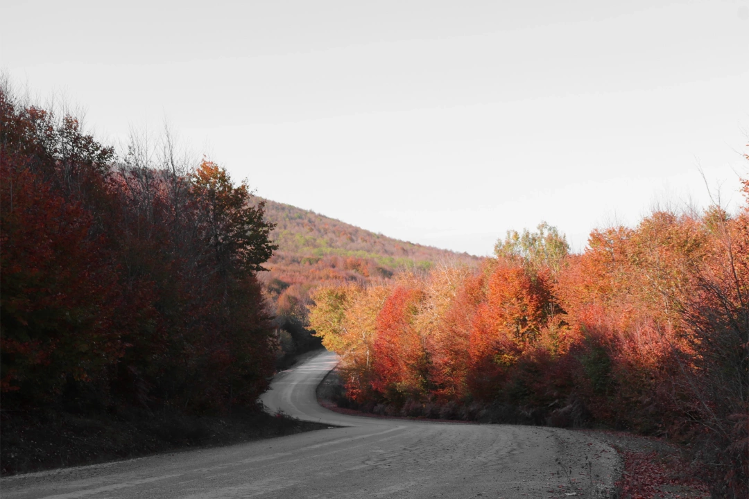 korfez-kocaeli / 11063