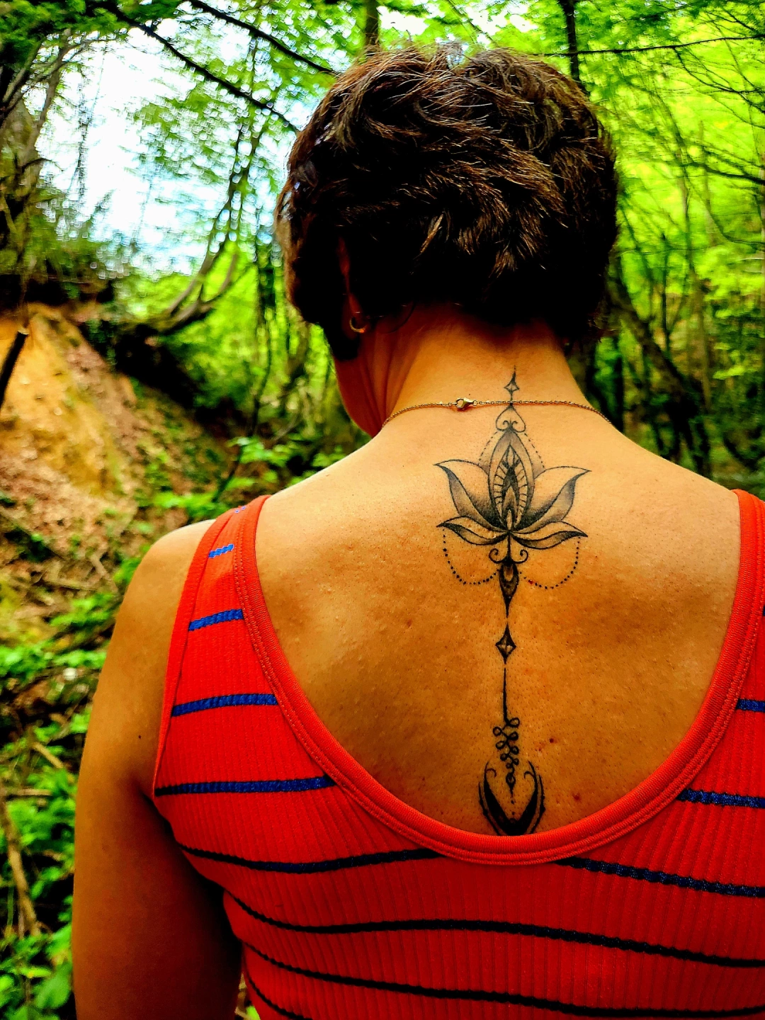 dogada-achaiah-nature / 10163