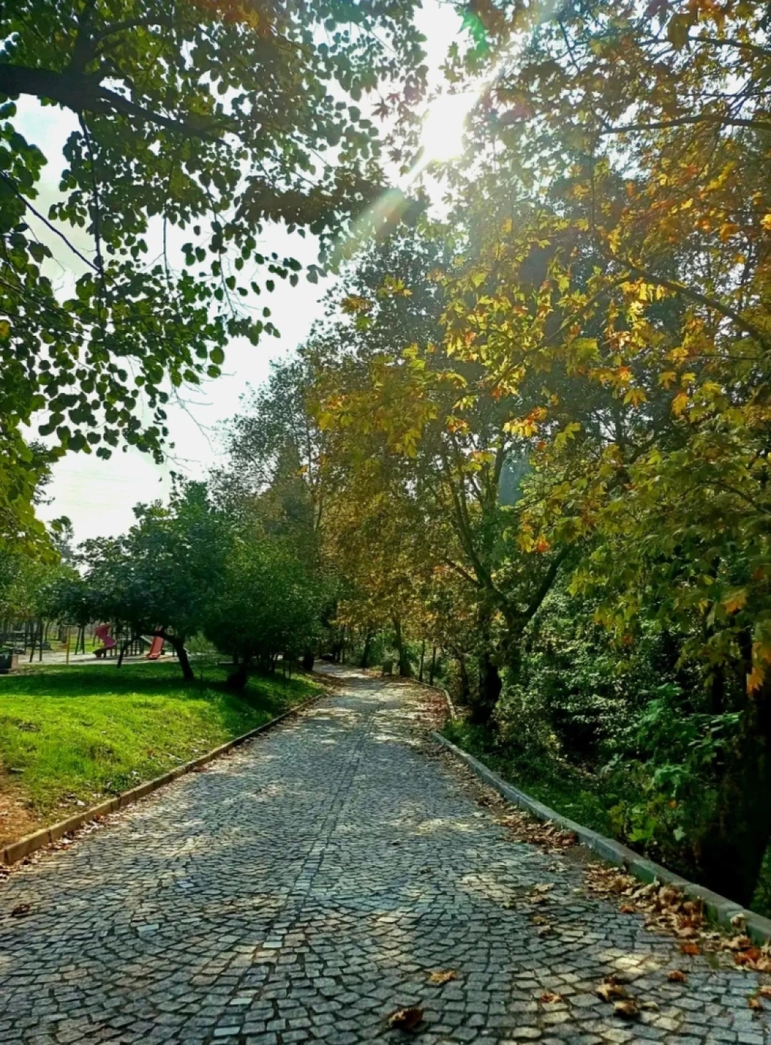 camlik-derince-kocaeli / 10563