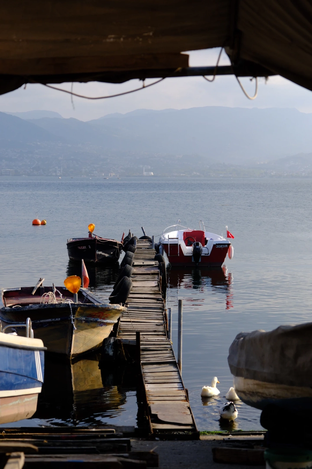 sahil-sekapark-tekne-sevdamizkocaeli / 9063