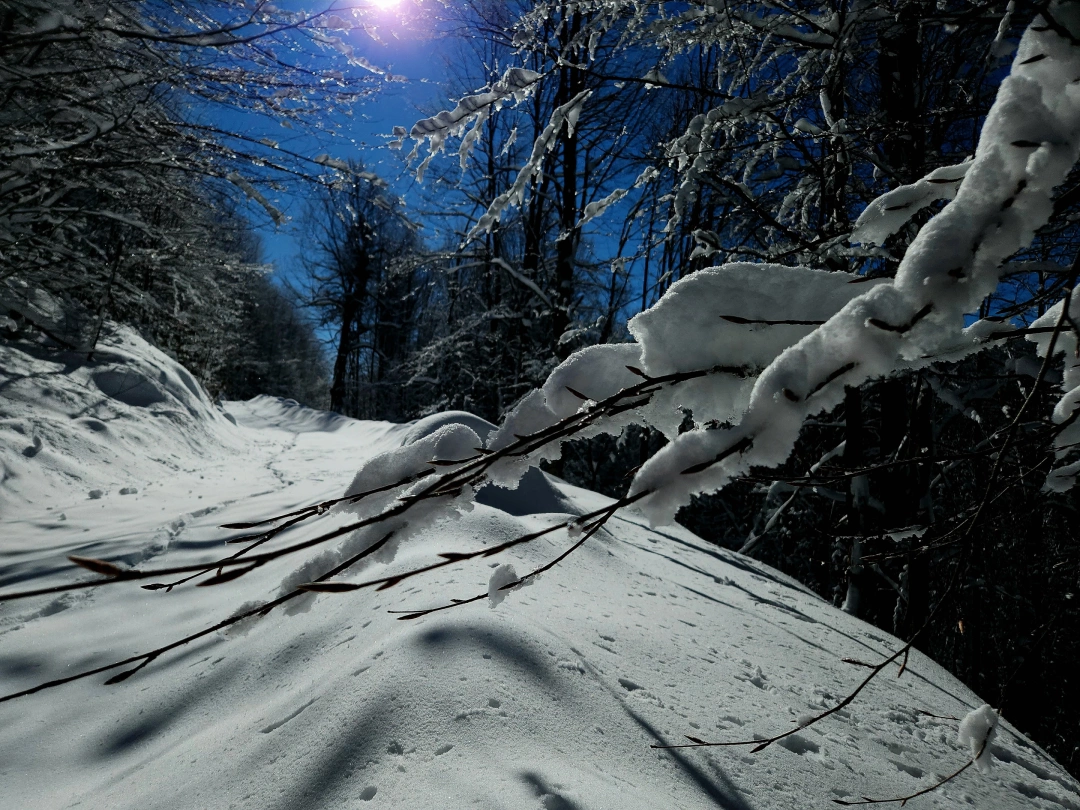 karli-gece-kar-gece-sanat-fotograf-art-nature / 8719